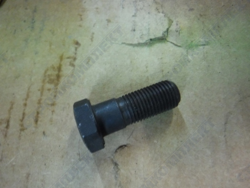Болт крепления маховик [245-1005127]