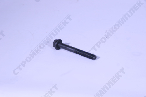 Болт М10-6gx80 [5340.1008504]